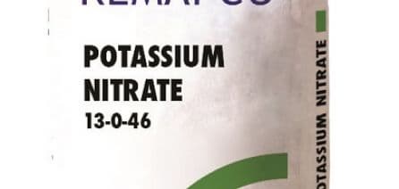 13_5_0_46 High quality fertilizer of potassium nitrate